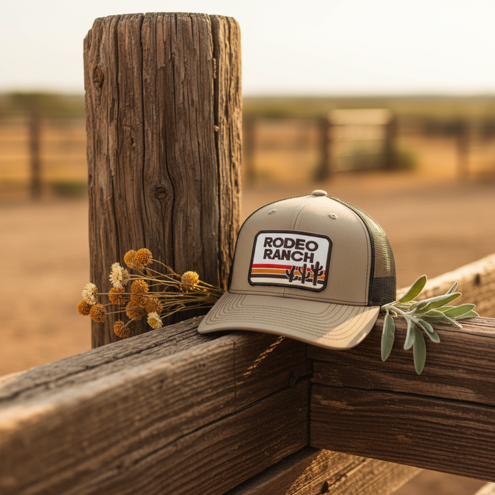 Retro Cactus Hat Rustic Wood Display